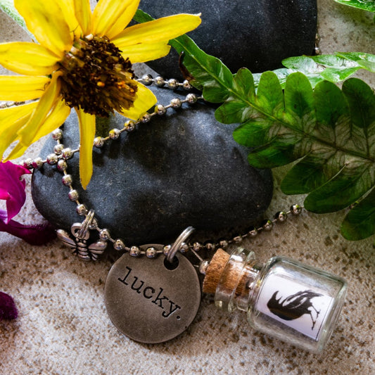 Little Messages, Ball Chain Necklace with ''Black Bird'' Small Glass Bottle Pendent and "Lucky" Tag Charm