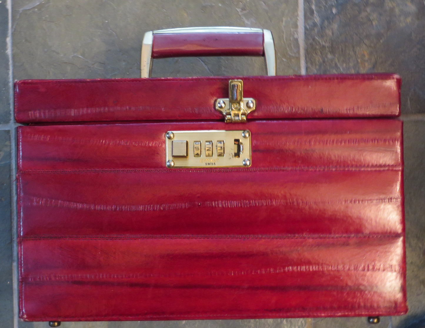 Retro Amiet Eel Skin Travel Case  NEED WEIGHT